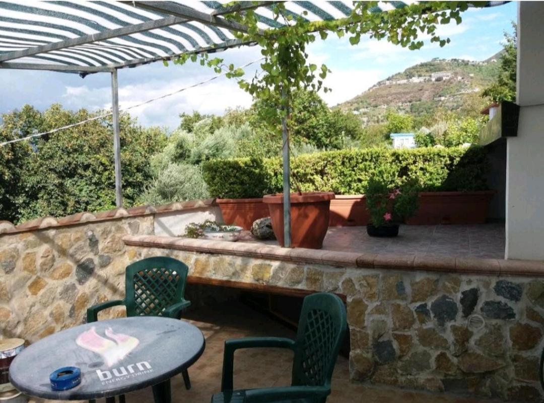 Villa Mola Bed And Breakfast Corbara  Exterior photo