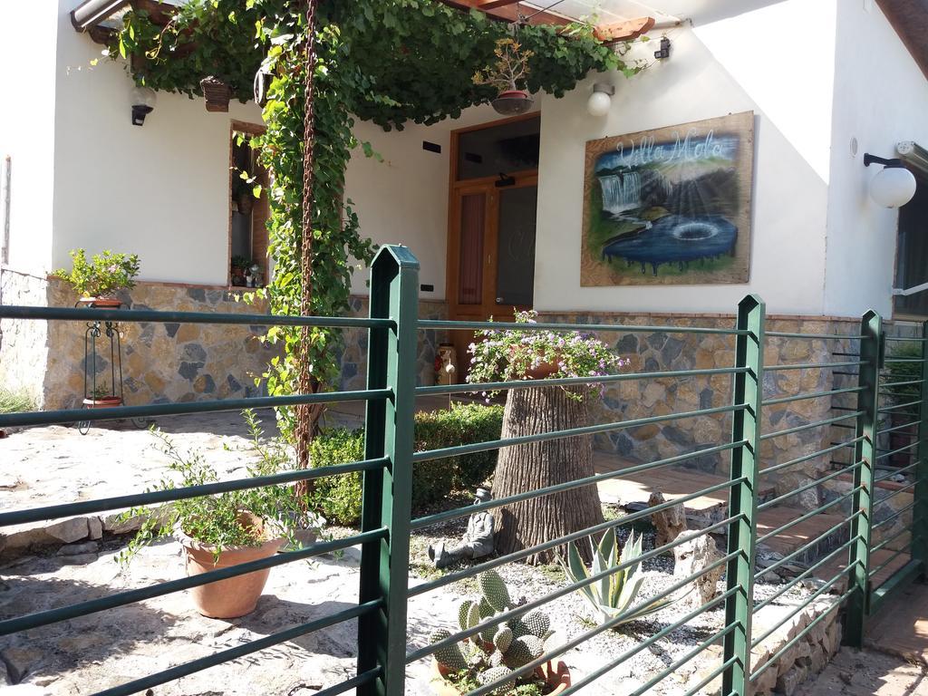 Villa Mola Bed And Breakfast Corbara  Exterior photo